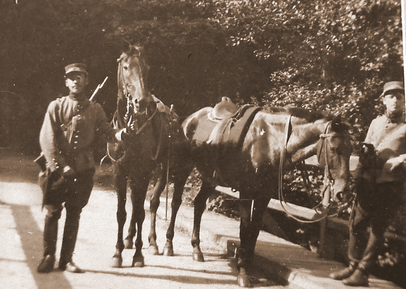 1915 8ème chasseurs à cheval  Orléans 14