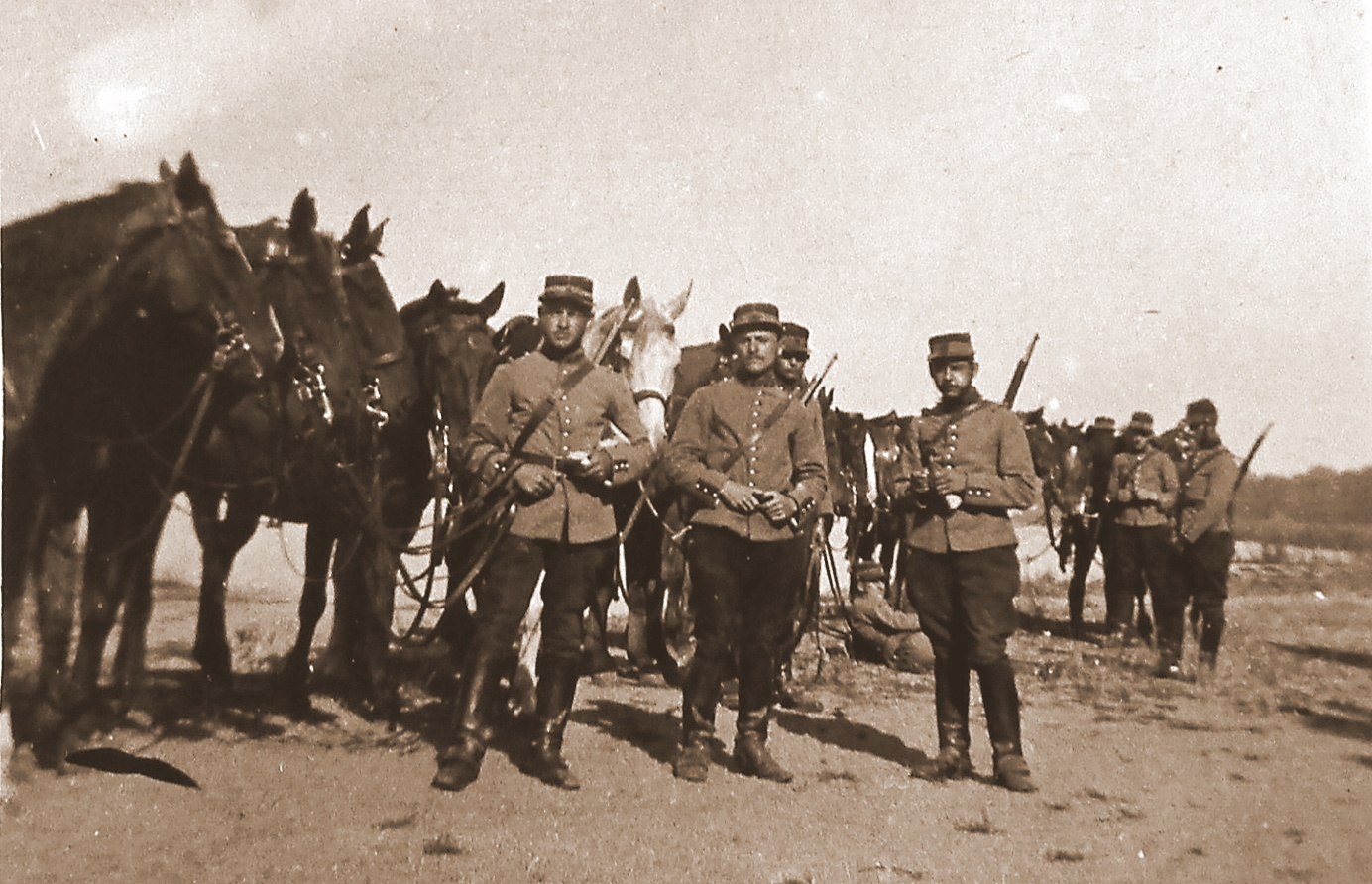 1915 8ème chasseurs à cheval  Orléans 15