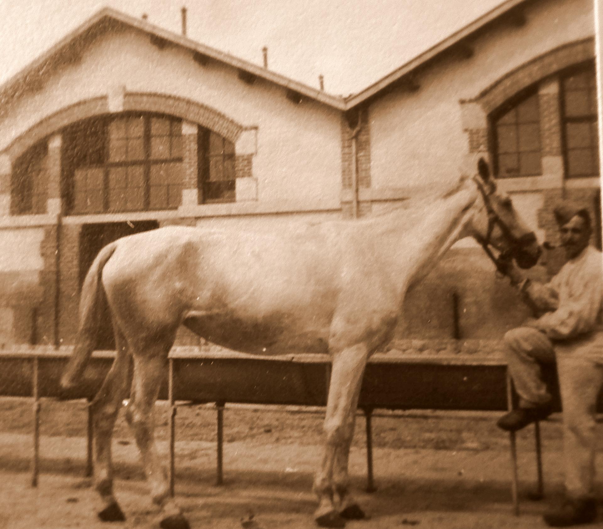 1915 8ème chasseurs à cheval  Orléans 34