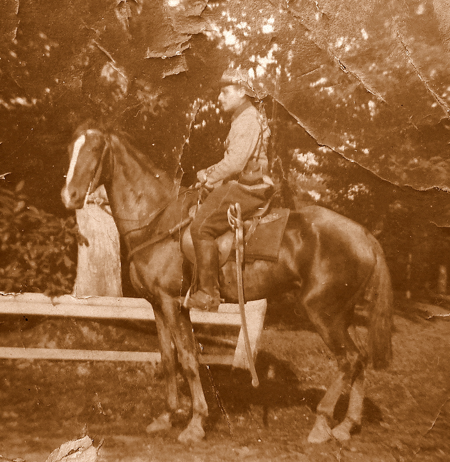 1915 8ème chasseurs à cheval  Orléans 49