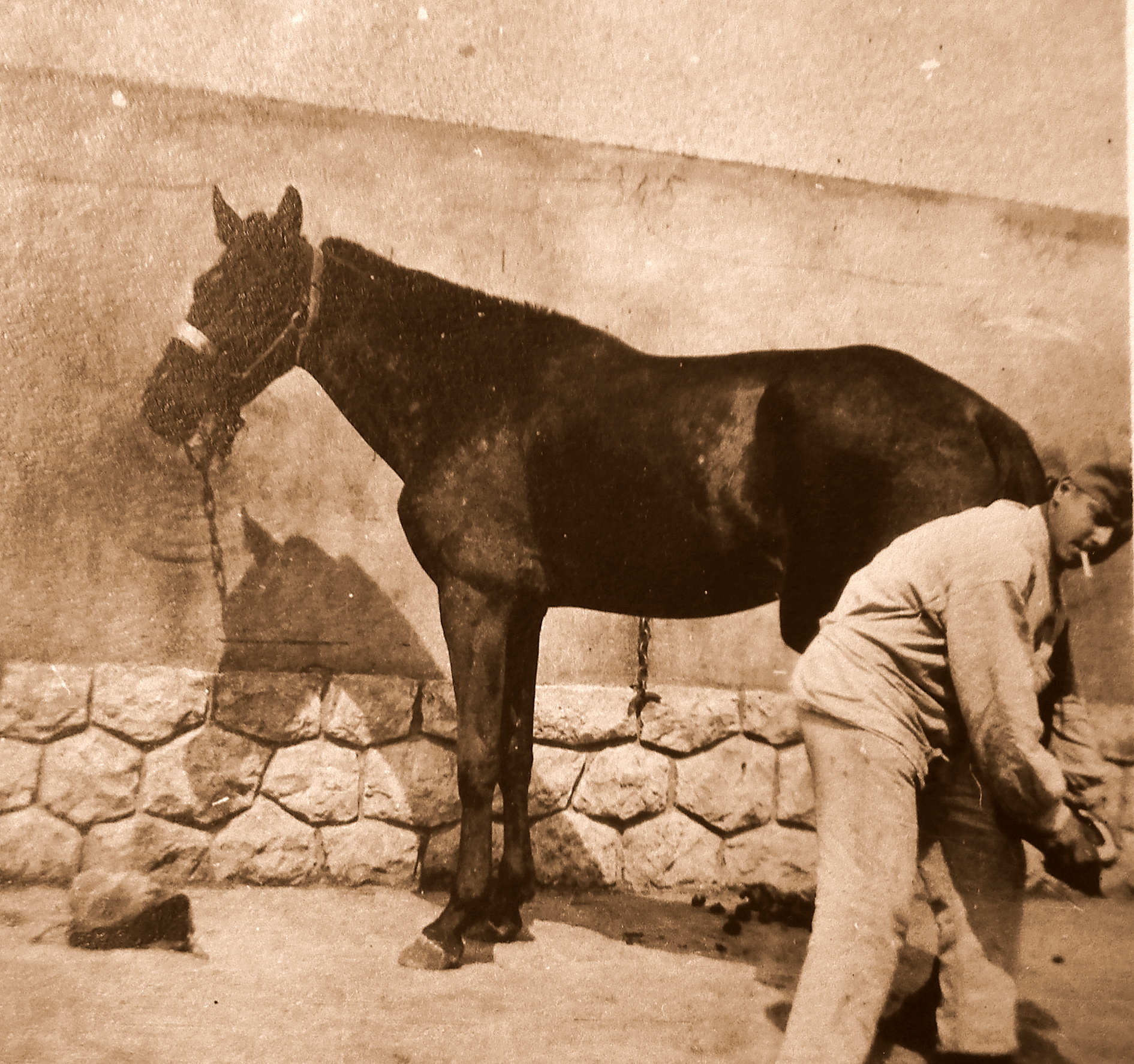 1915 8ème chasseurs à cheval  Orléans moreau