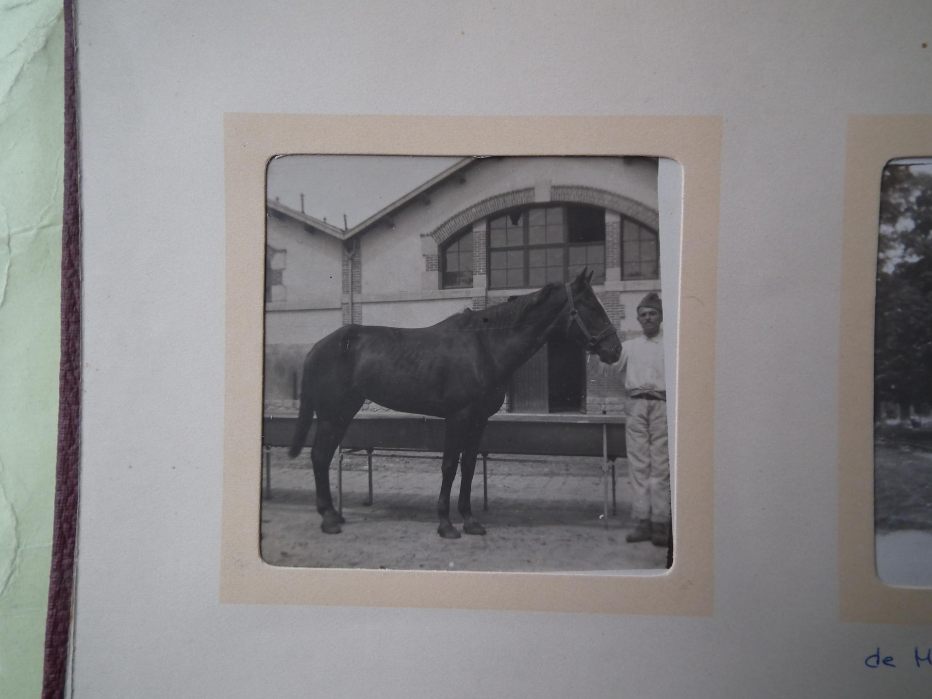 1915 8ème chasseurs à cheval  Orléans 11