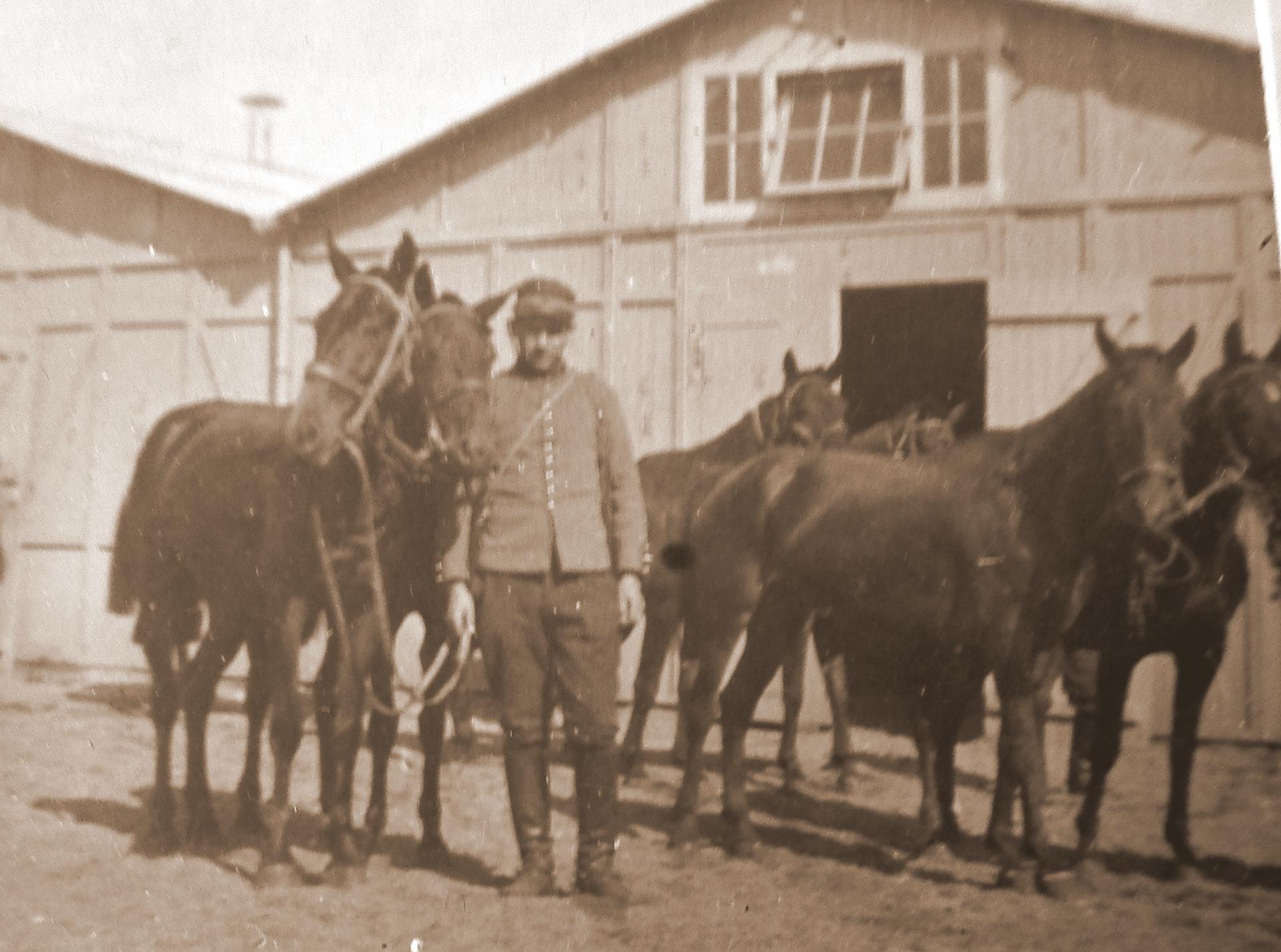 1915 8ème chasseurs à cheval  Orléans 22
