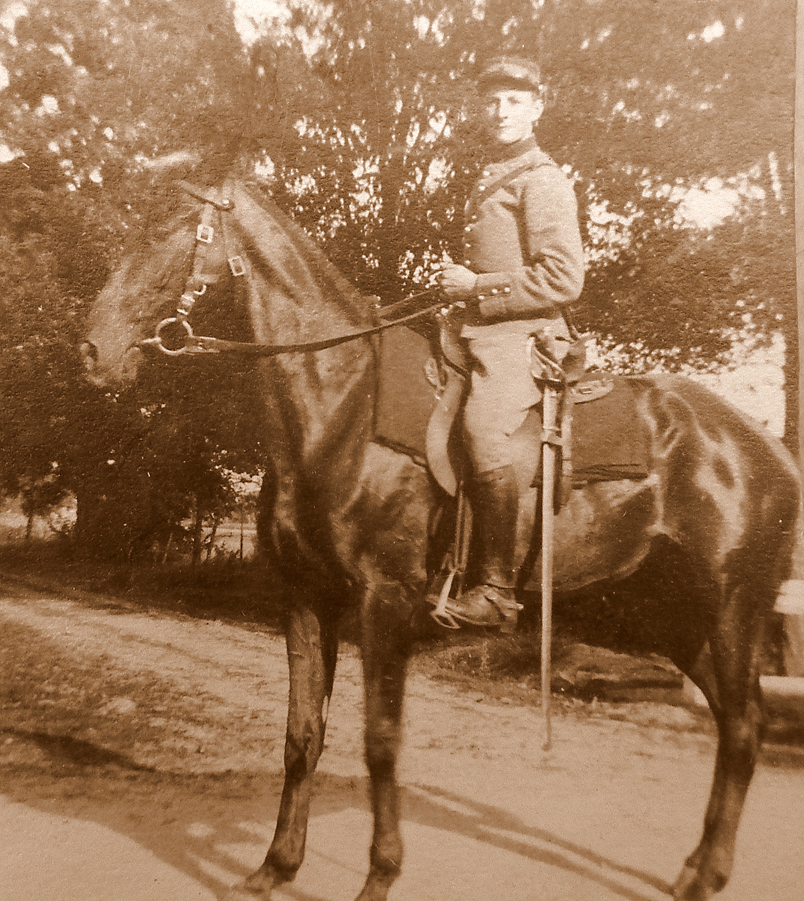 1915 8ème chasseurs à cheval  Orléans 50